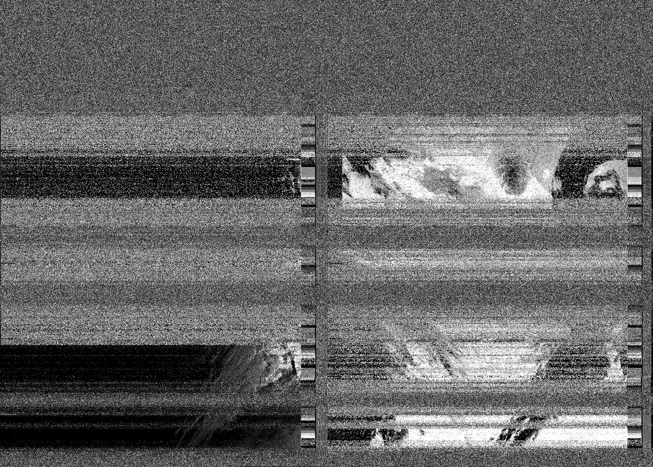 Pristine output with telemetry data withut cropping. Pristine images are
unenhanced, but normalised to produce images which represent,
as best as the software is able to, the original digital data. No attempt is made to temperature
normalise IR images. Disables gamma, sharpening, rotation, and other enhancements.