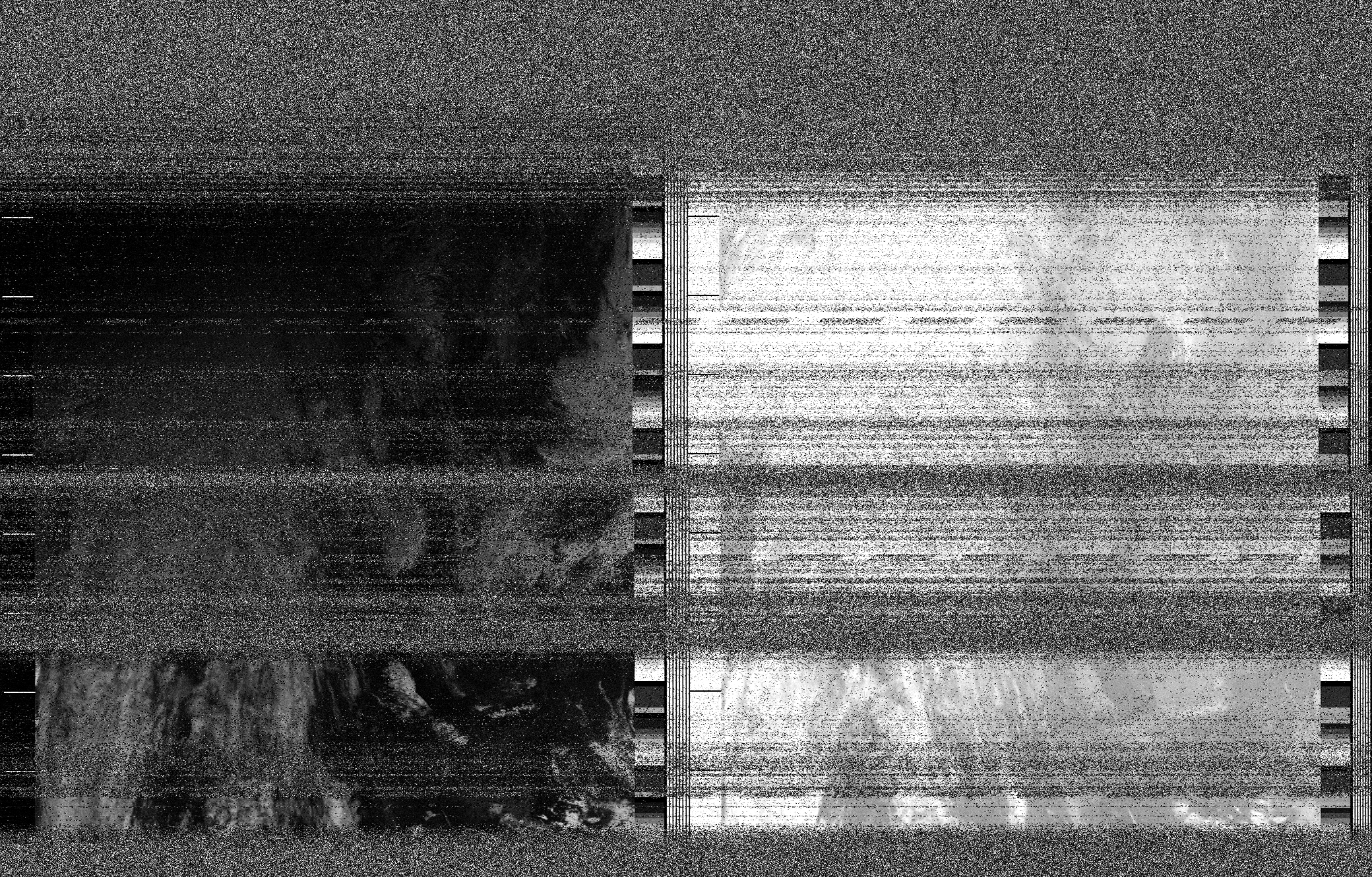 Pristine output with telemetry data withut cropping. Pristine images are
unenhanced, but normalised to produce images which represent,
as best as the software is able to, the original digital data. No attempt is made to temperature
normalise IR images. Disables gamma, sharpening, rotation, and other enhancements.