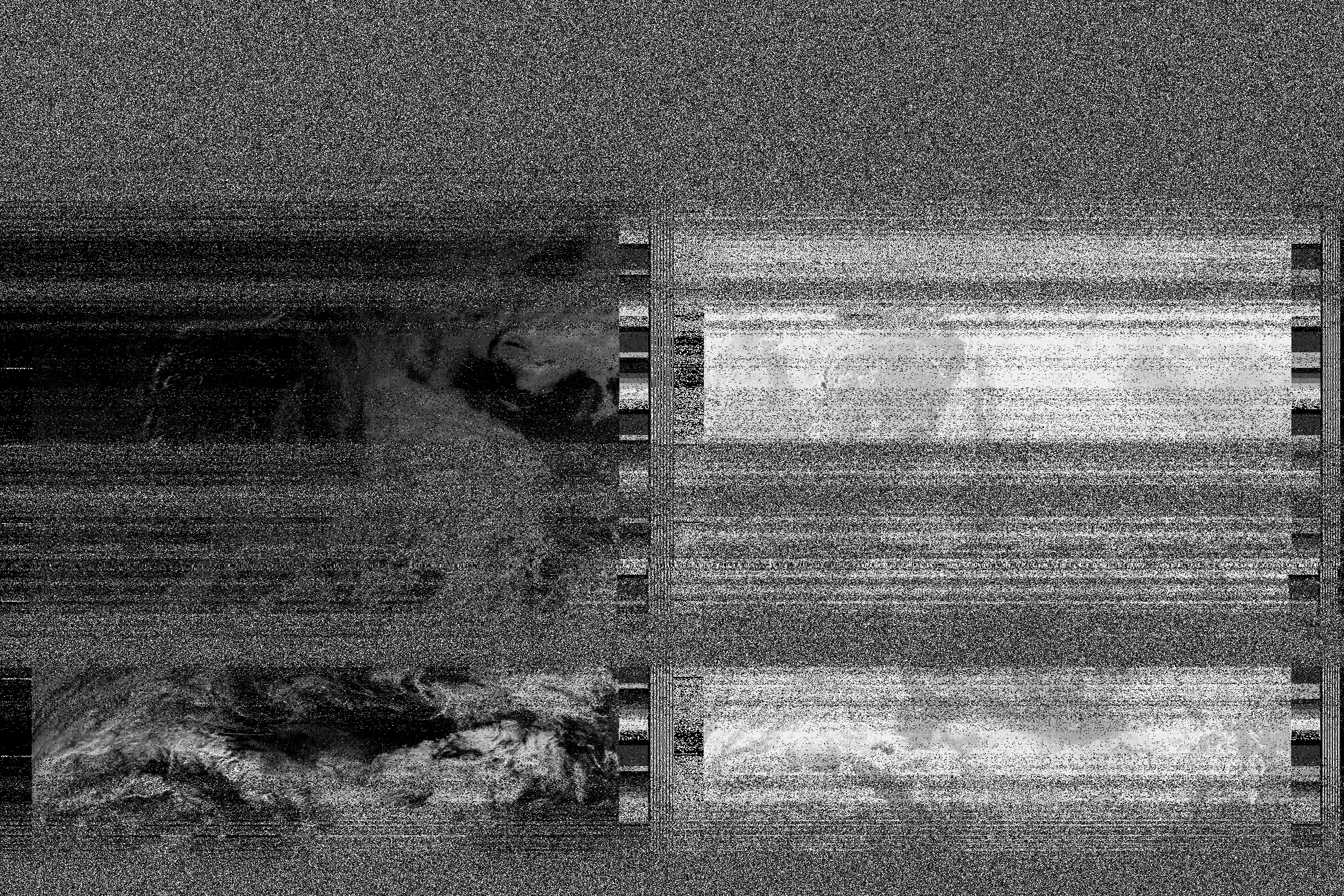 Pristine output with telemetry data withut cropping. Pristine images are
unenhanced, but normalised to produce images which represent,
as best as the software is able to, the original digital data. No attempt is made to temperature
normalise IR images. Disables gamma, sharpening, rotation, and other enhancements.