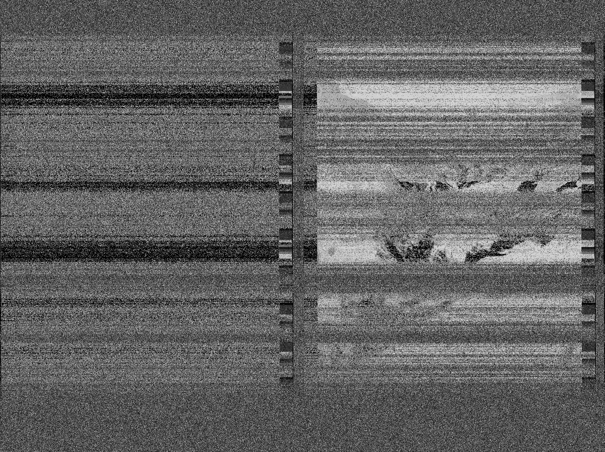 Pristine output with telemetry data withut cropping. Pristine images are
unenhanced, but normalised to produce images which represent,
as best as the software is able to, the original digital data. No attempt is made to temperature
normalise IR images. Disables gamma, sharpening, rotation, and other enhancements.