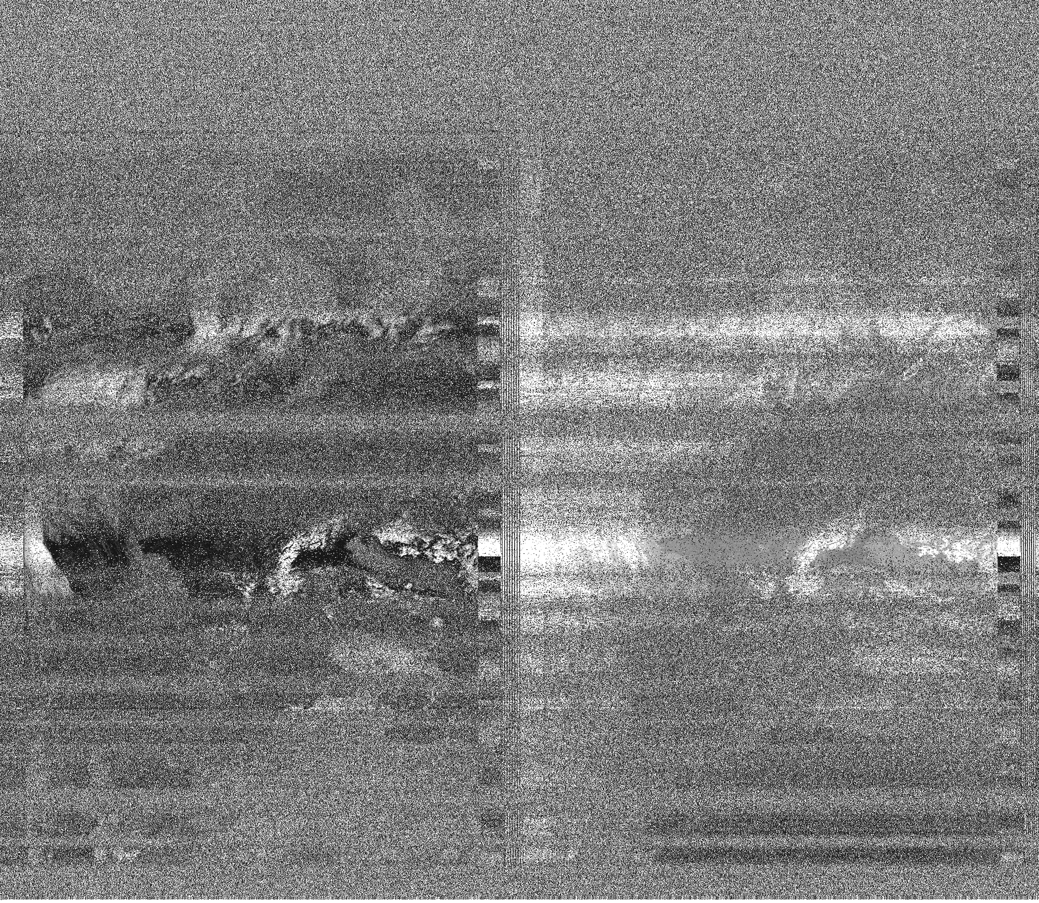 Pristine output with telemetry data withut cropping. Pristine images are
unenhanced, but normalised to produce images which represent,
as best as the software is able to, the original digital data. No attempt is made to temperature
normalise IR images. Disables gamma, sharpening, rotation, and other enhancements.