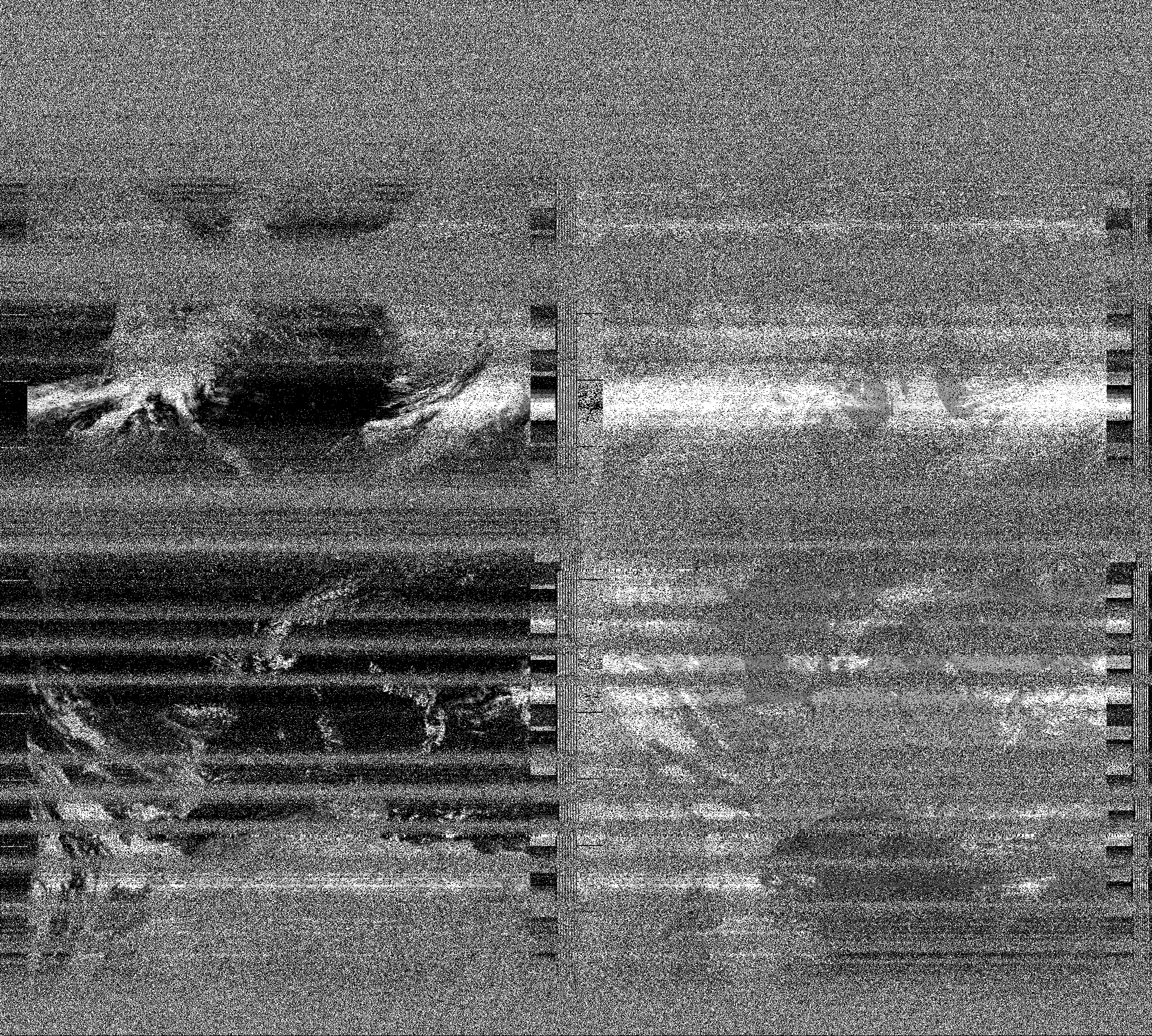 Pristine output with telemetry data withut cropping. Pristine images are
unenhanced, but normalised to produce images which represent,
as best as the software is able to, the original digital data. No attempt is made to temperature
normalise IR images. Disables gamma, sharpening, rotation, and other enhancements.