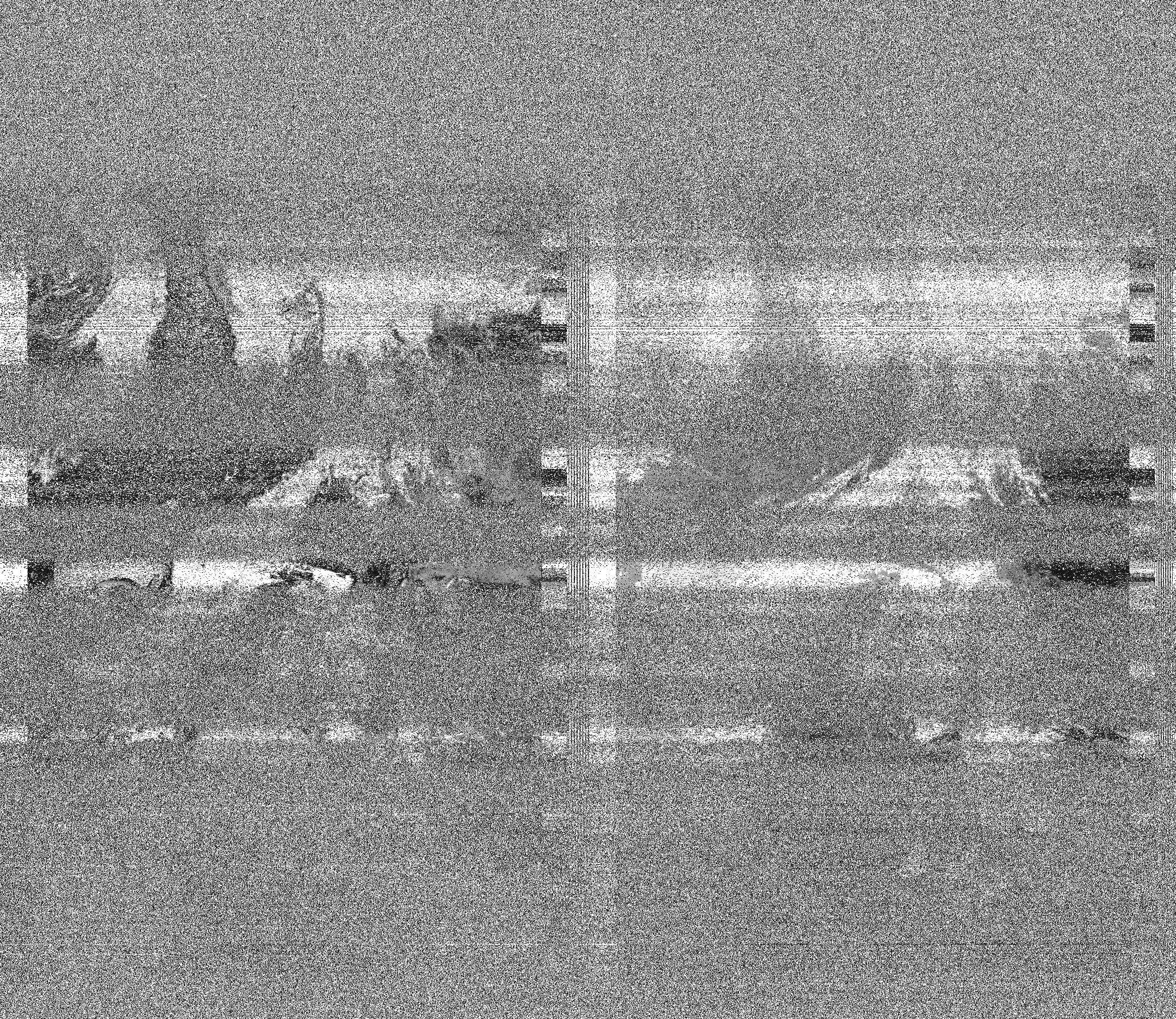 Pristine output with telemetry data withut cropping. Pristine images are
unenhanced, but normalised to produce images which represent,
as best as the software is able to, the original digital data. No attempt is made to temperature
normalise IR images. Disables gamma, sharpening, rotation, and other enhancements.