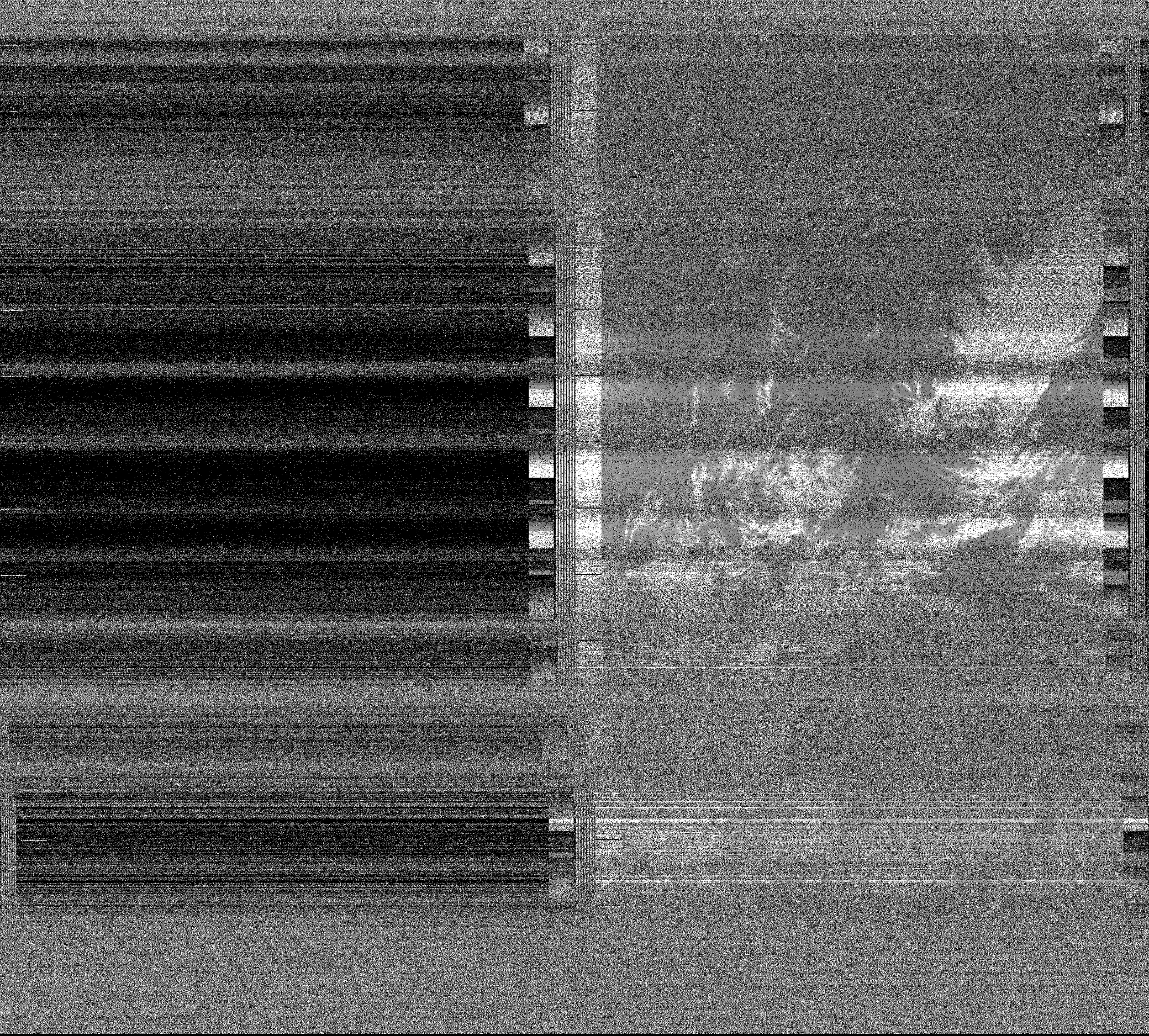 Pristine output with telemetry data withut cropping. Pristine images are
unenhanced, but normalised to produce images which represent,
as best as the software is able to, the original digital data. No attempt is made to temperature
normalise IR images. Disables gamma, sharpening, rotation, and other enhancements.