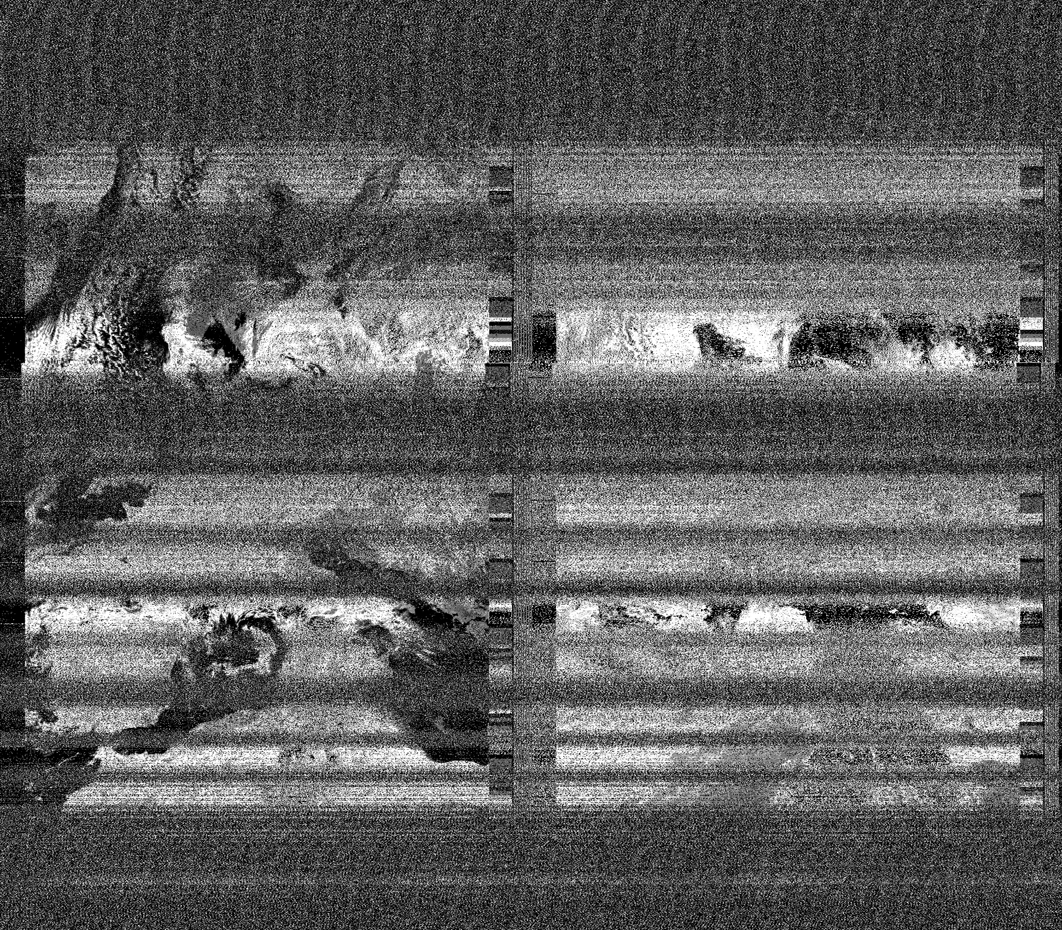Pristine output with telemetry data withut cropping. Pristine images are
unenhanced, but normalised to produce images which represent,
as best as the software is able to, the original digital data. No attempt is made to temperature
normalise IR images. Disables gamma, sharpening, rotation, and other enhancements.