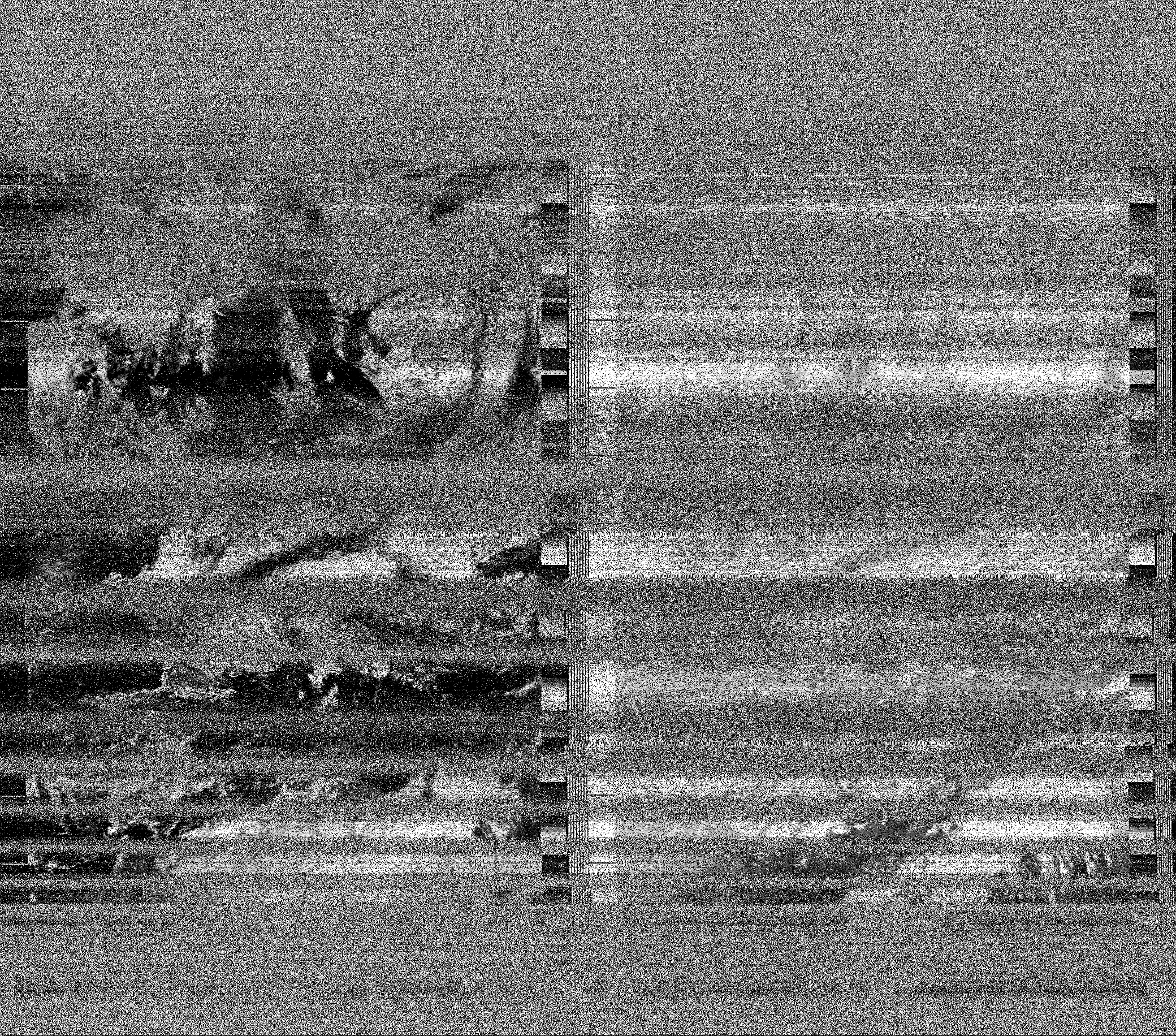 Pristine output with telemetry data withut cropping. Pristine images are
unenhanced, but normalised to produce images which represent,
as best as the software is able to, the original digital data. No attempt is made to temperature
normalise IR images. Disables gamma, sharpening, rotation, and other enhancements.
