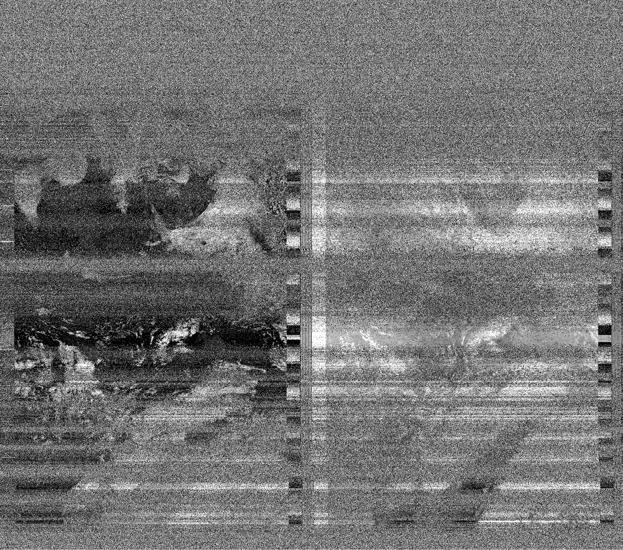 Pristine output with telemetry data withut cropping. Pristine images are
unenhanced, but normalised to produce images which represent,
as best as the software is able to, the original digital data. No attempt is made to temperature
normalise IR images. Disables gamma, sharpening, rotation, and other enhancements.