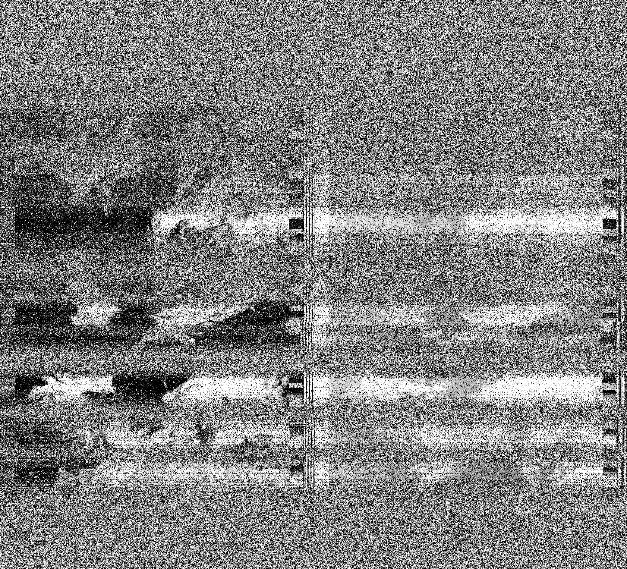 Pristine output with telemetry data withut cropping. Pristine images are
unenhanced, but normalised to produce images which represent,
as best as the software is able to, the original digital data. No attempt is made to temperature
normalise IR images. Disables gamma, sharpening, rotation, and other enhancements.