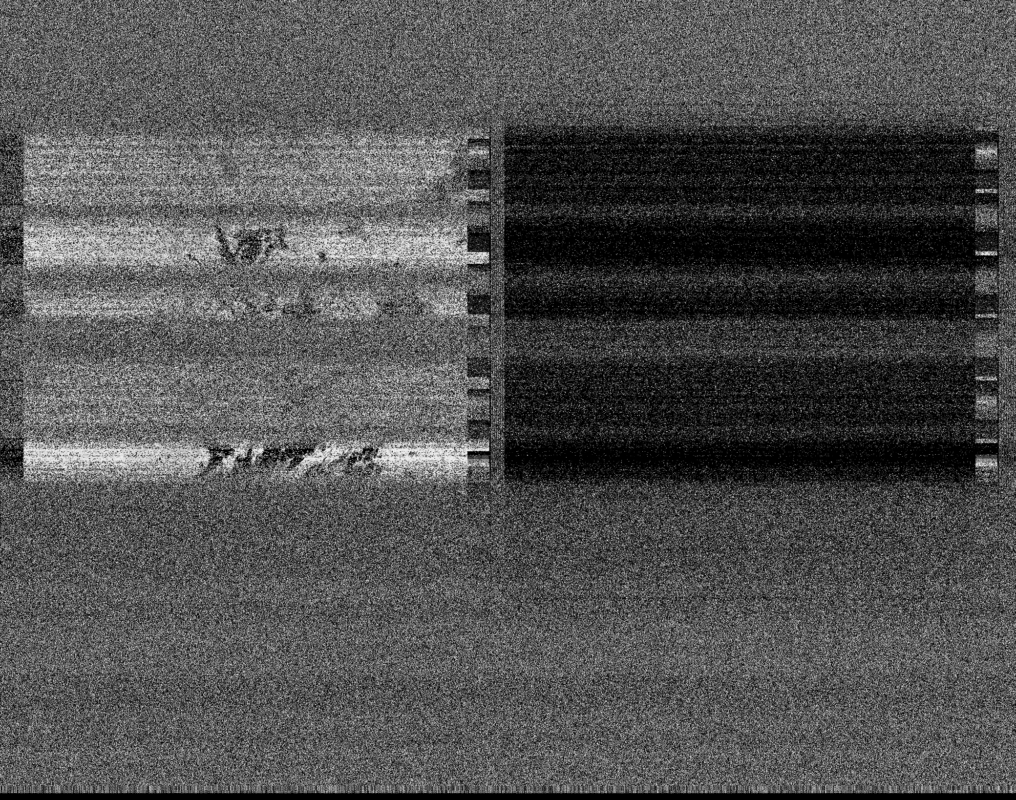 Pristine output with telemetry data withut cropping. Pristine images are
unenhanced, but normalised to produce images which represent,
as best as the software is able to, the original digital data. No attempt is made to temperature
normalise IR images. Disables gamma, sharpening, rotation, and other enhancements.