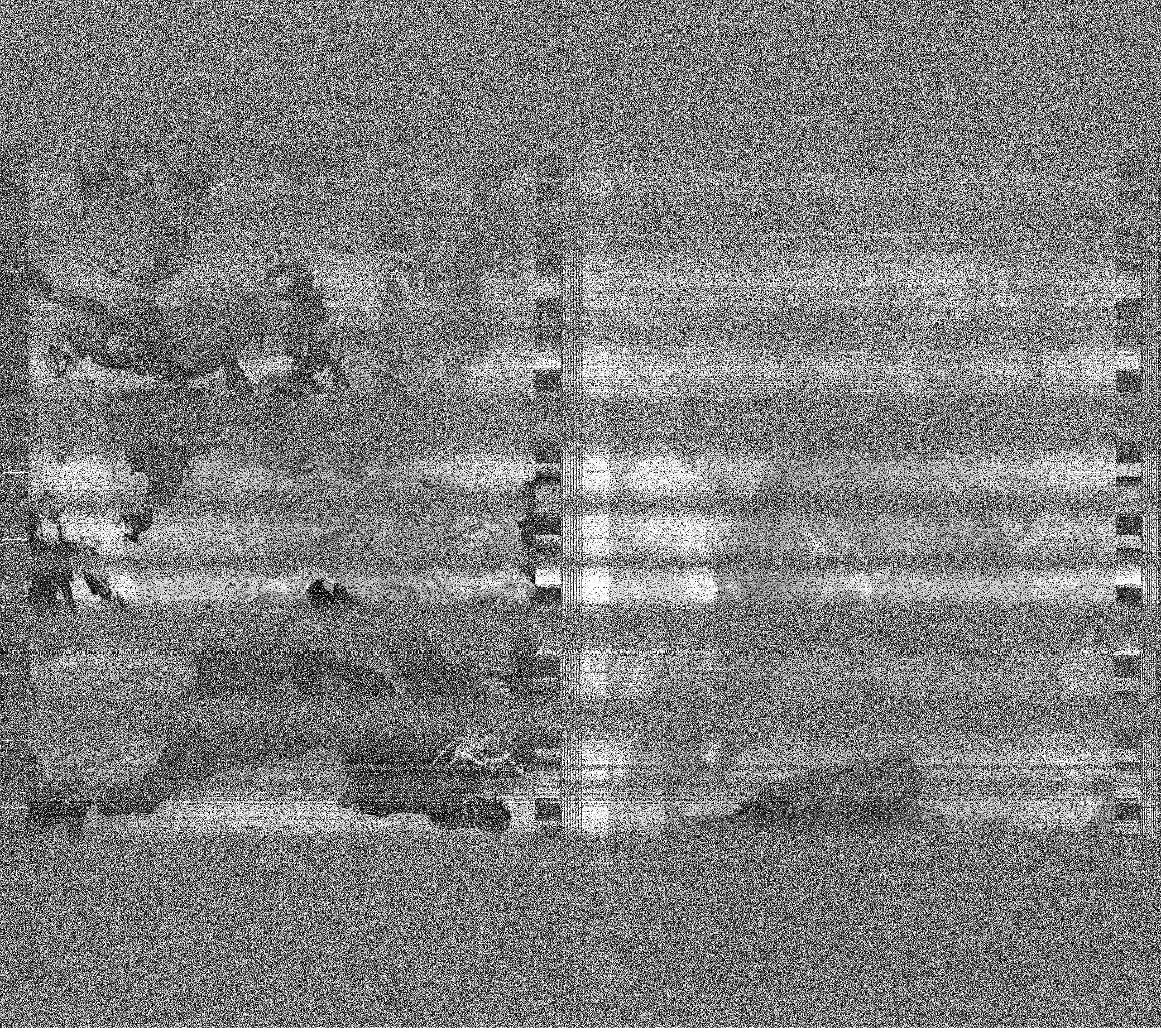 Pristine output with telemetry data withut cropping. Pristine images are
unenhanced, but normalised to produce images which represent,
as best as the software is able to, the original digital data. No attempt is made to temperature
normalise IR images. Disables gamma, sharpening, rotation, and other enhancements.