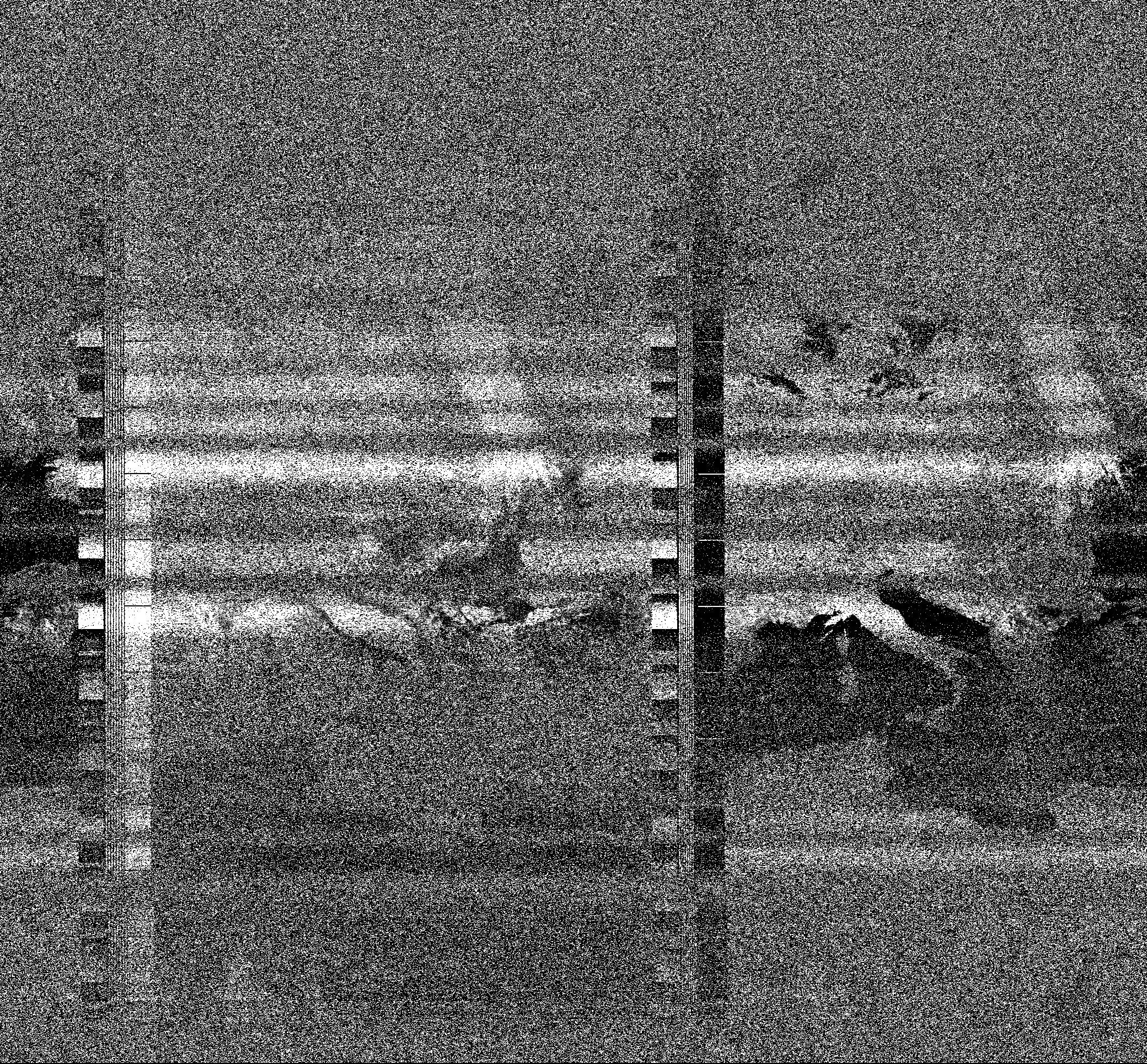 Pristine output with telemetry data withut cropping. Pristine images are
unenhanced, but normalised to produce images which represent,
as best as the software is able to, the original digital data. No attempt is made to temperature
normalise IR images. Disables gamma, sharpening, rotation, and other enhancements.
