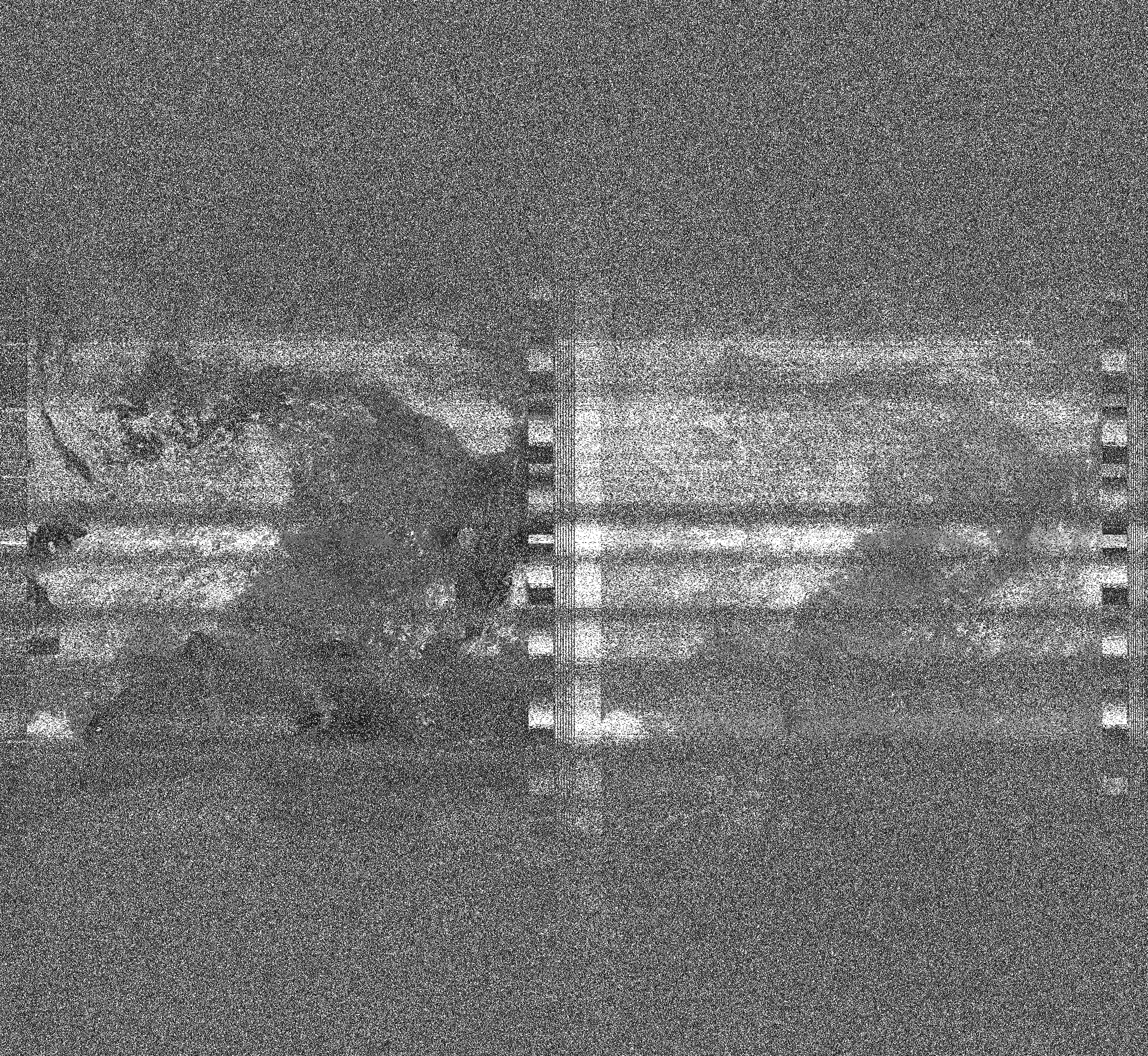 Pristine output with telemetry data withut cropping. Pristine images are
unenhanced, but normalised to produce images which represent,
as best as the software is able to, the original digital data. No attempt is made to temperature
normalise IR images. Disables gamma, sharpening, rotation, and other enhancements.